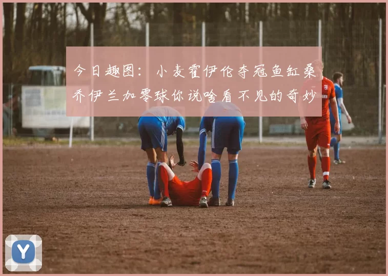 今日趣图：小麦霍伊伦夺冠鱼缸桑乔伊兰加零球你说啥看不见的奇妙瞬间