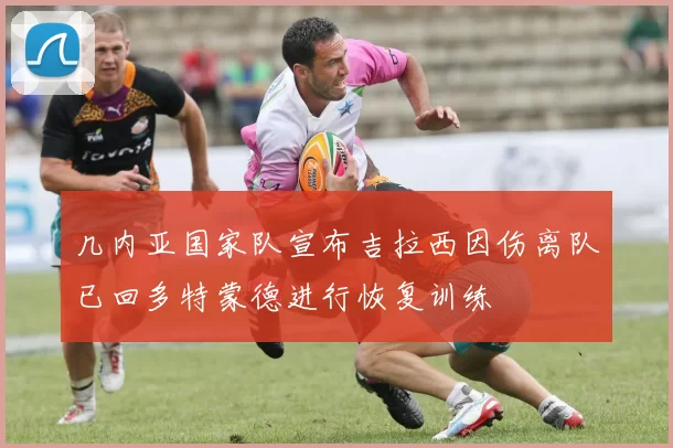 几内亚国家队宣布吉拉西因伤离队已回多特蒙德进行恢复训练