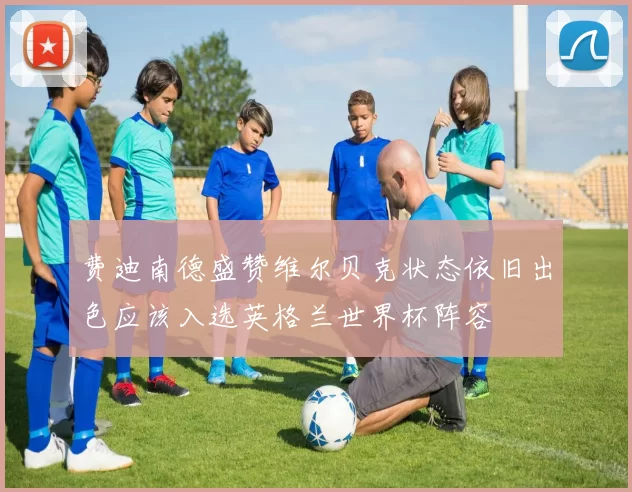 费迪南德盛赞维尔贝克状态依旧出色应该入选英格兰世界杯阵容