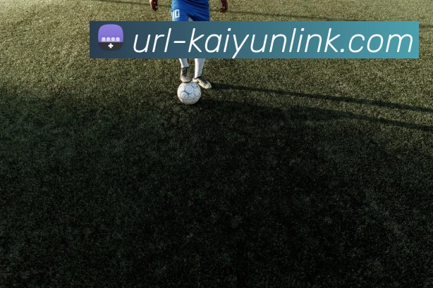 开云体育服务体系