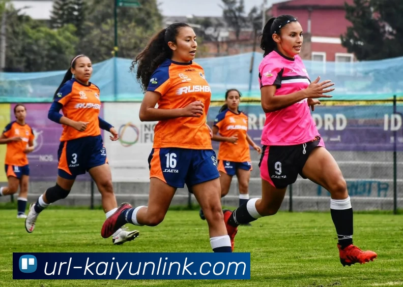 多媒体互动体验